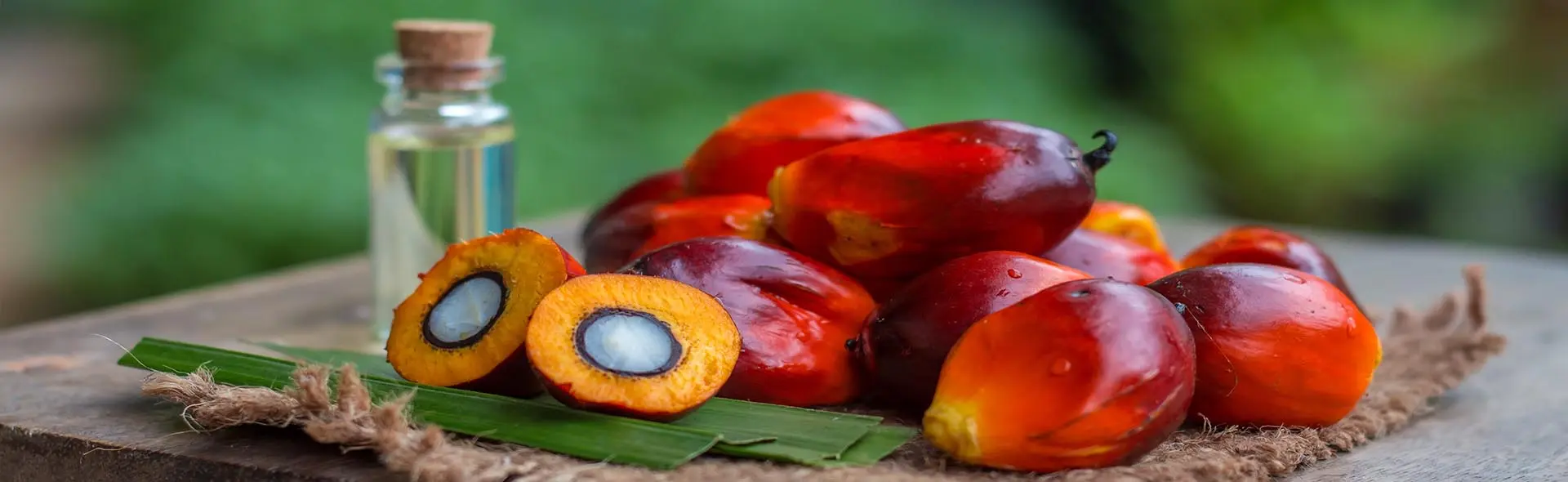 The Perils of Palm Oil